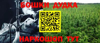 мдпв Рыбинск