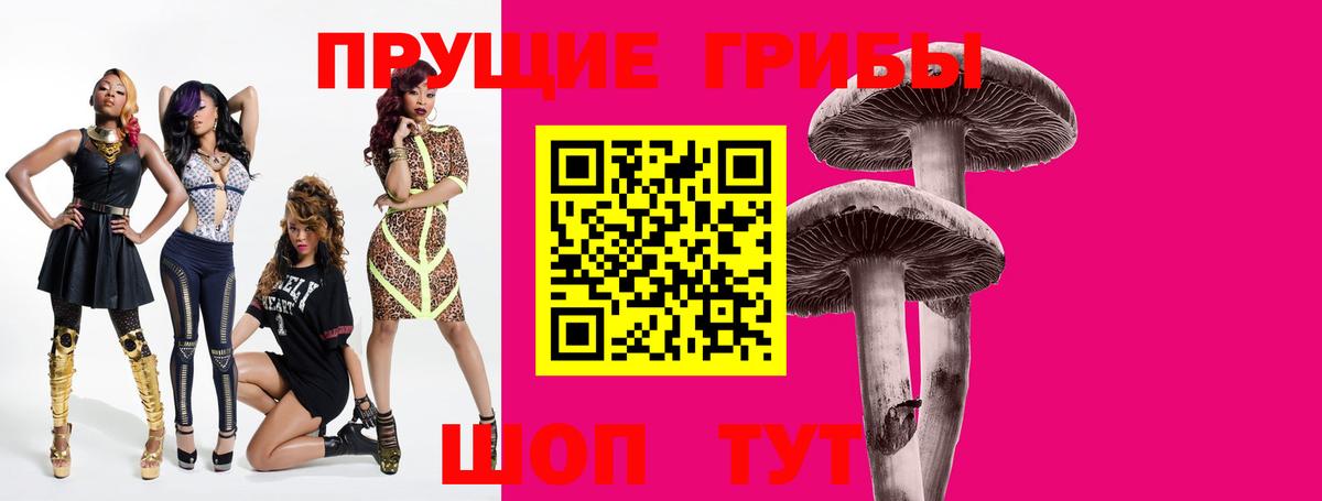 цены наркотик  Вход с VPN  Пугачёв  Галлюциногенные грибы Psilocybe 